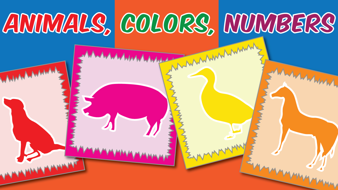 Animals, Colors and Numbers