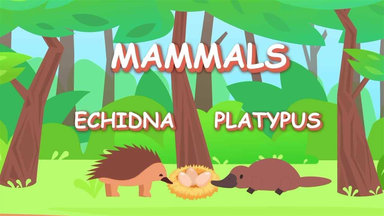 Are There Any Mammals That Lay Eggs?