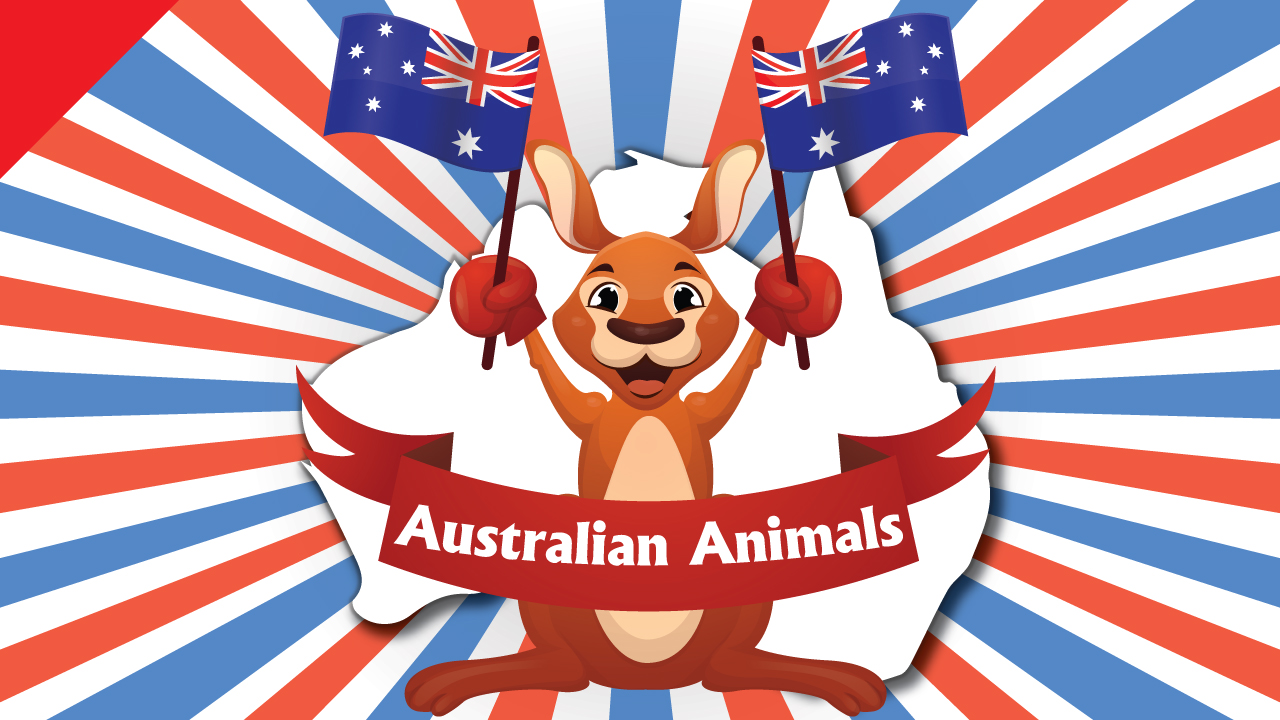 Australian Animals