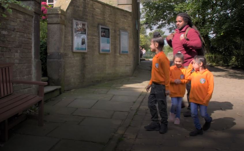 Autumn leaves and den walk