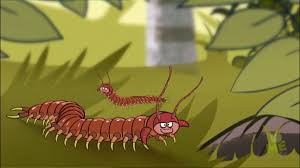 Centipede