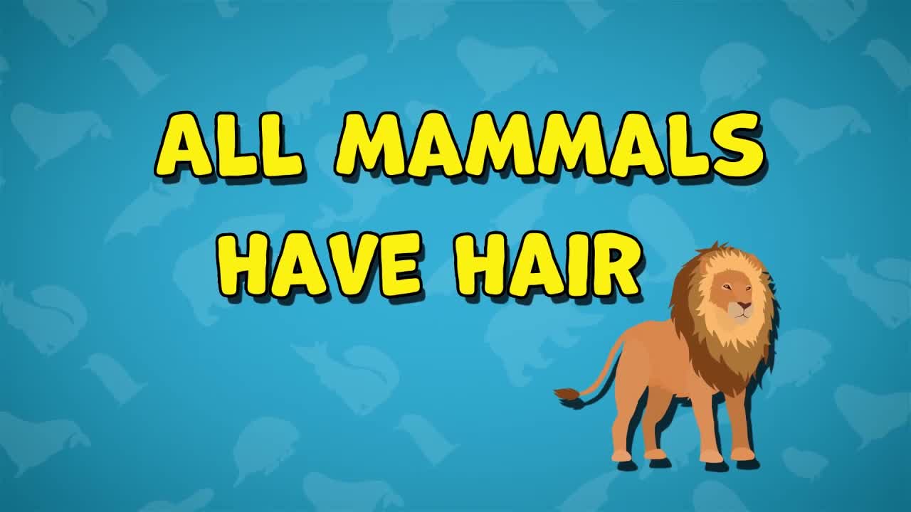 Do All Mammals Have Hair?: I Wonder... Stem Animals Series.