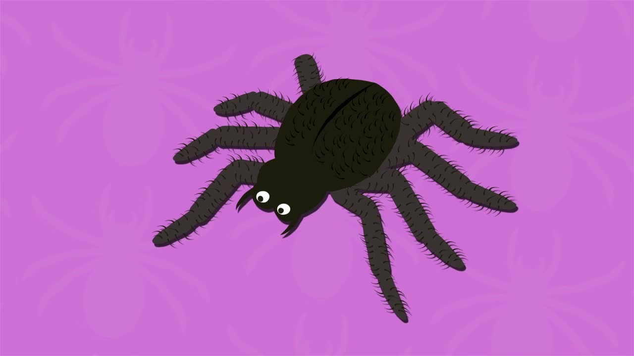 Do Arachnids Have Any Special Features?: I Wonder... Stem Animals Series.