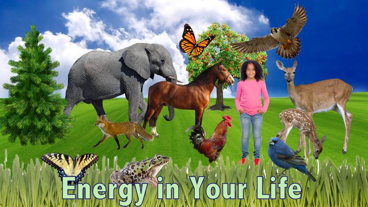 Energy in Your Life.