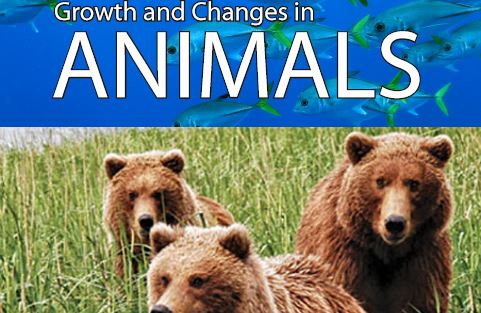 Growth and Changes in Animals.