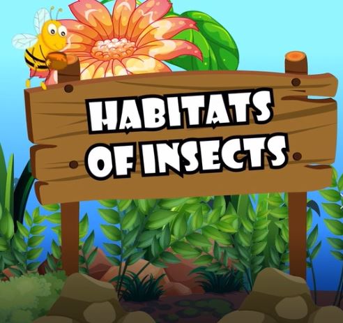 Habitats of Insects: All About Insects Series.