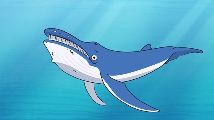 I'm a Blue Whale: I'm a Fish Series.