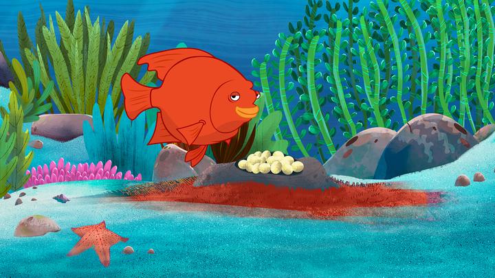 I'm a Garibaldi Fish: I'm a Fish Series.