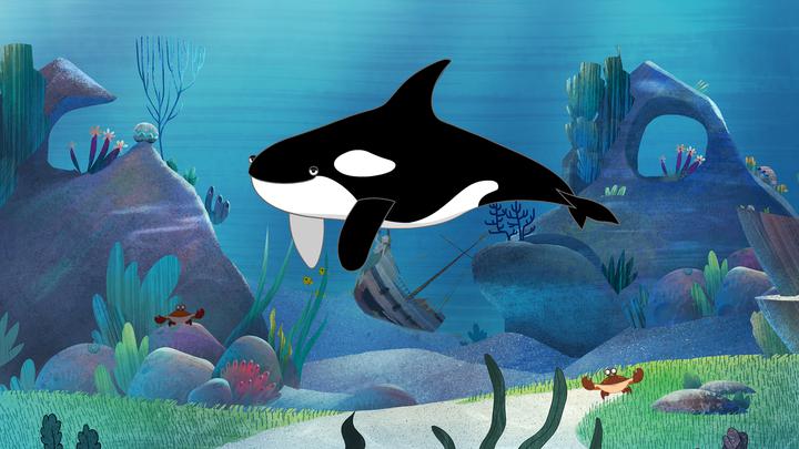 I'm a Killer Whale: I'm a Fish Series.