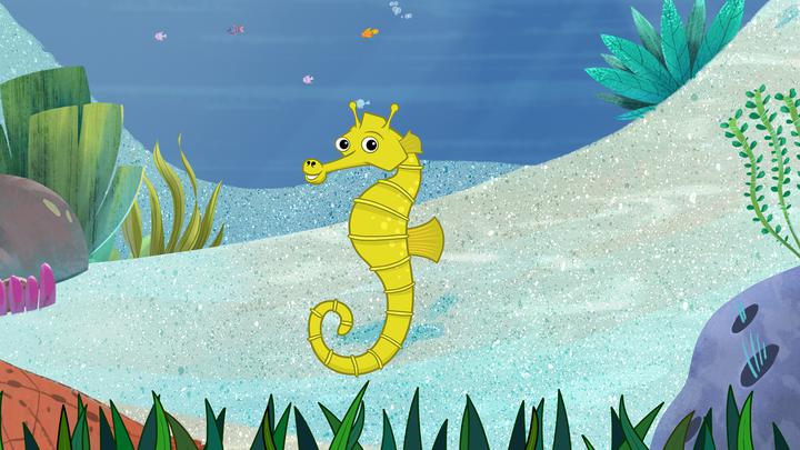 I'm a Seahorse: I'm a Fish Series.