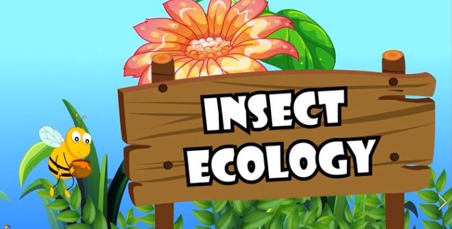 Insect Ecology: All About Insects Series.