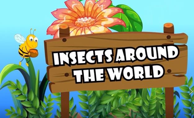 Insects Around the World: All About Insects Series.