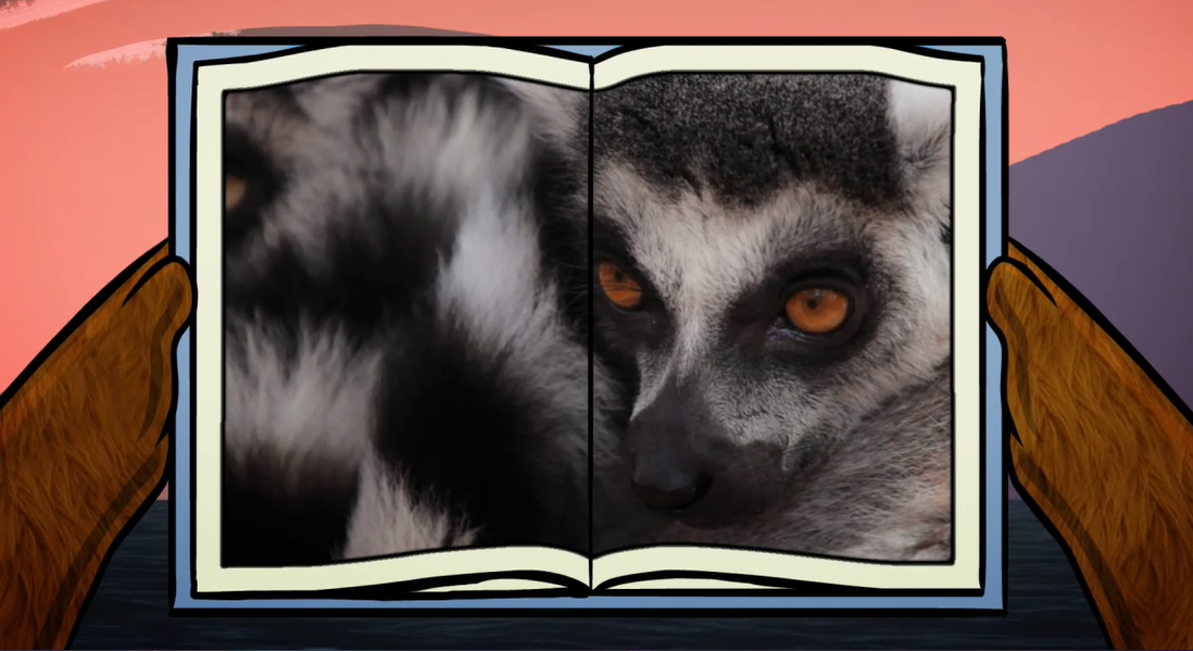 Lemur: Big Bear and Squeak Series.