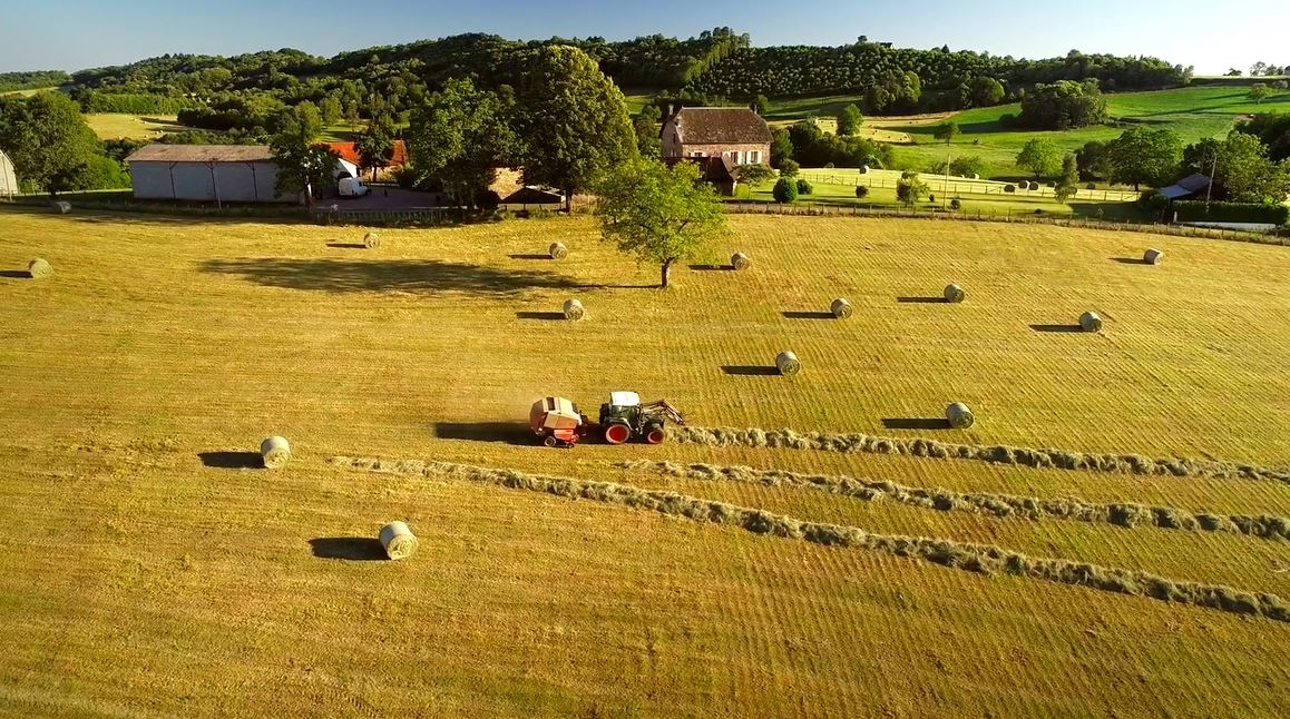 Making Bales: Let's Discover - Distribution Series.