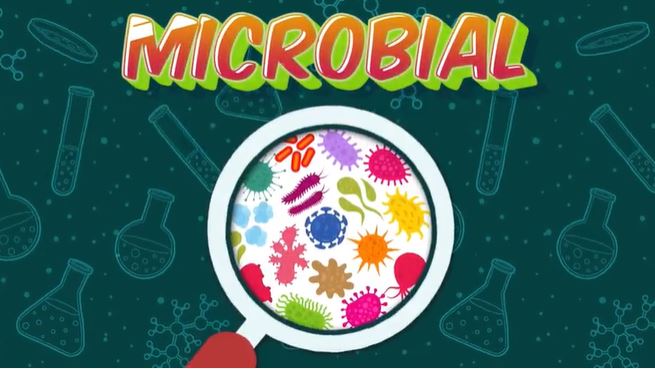 Microbial: Kitchen Science Series.