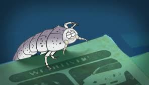 Silverfish