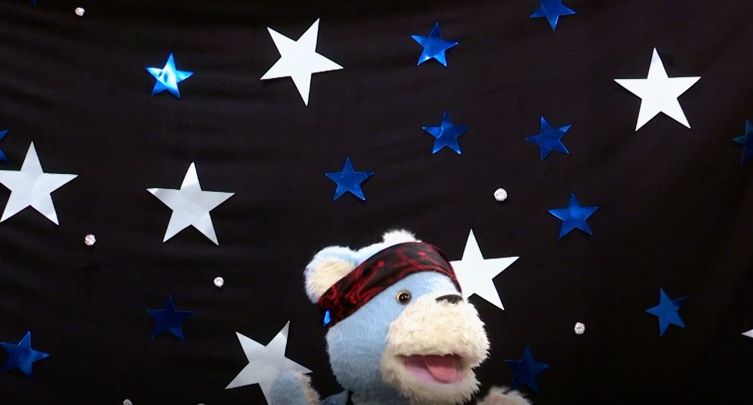 The Tedditastic singing star/Dom the Magnificent : Teddies.