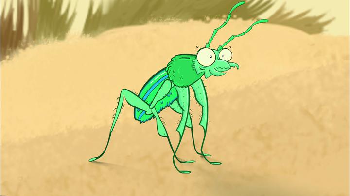 Tiger beetle : I'm a Creepy Crawly series.