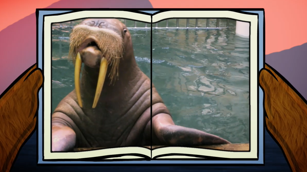 Walrus : Big Bear and Squeak series.