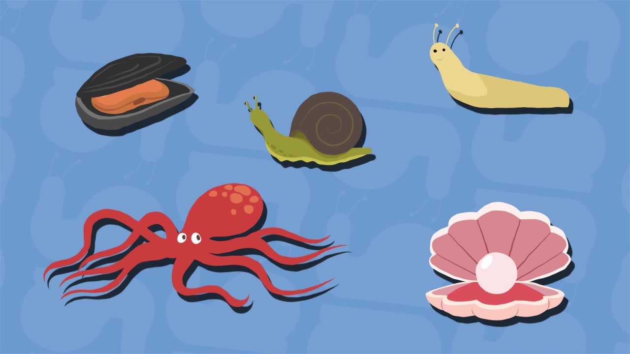 What animal group do mollusks belong to? : I Wonder... Stem Animals series.