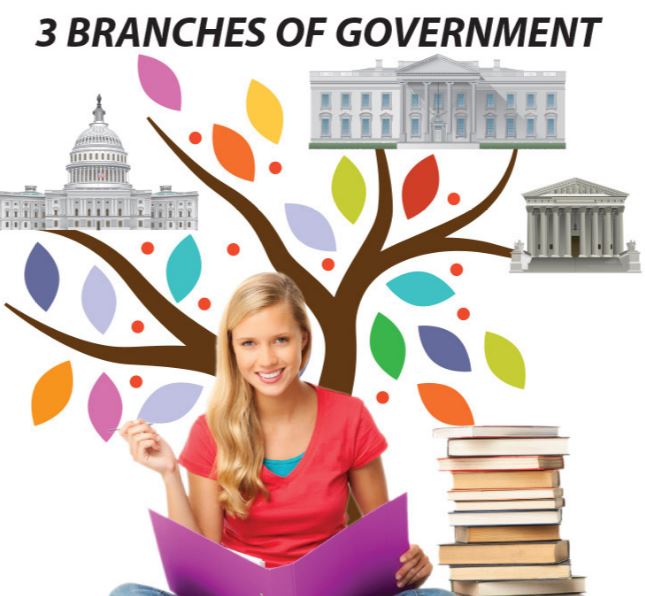 3 Branches of Government: History Kids Series.