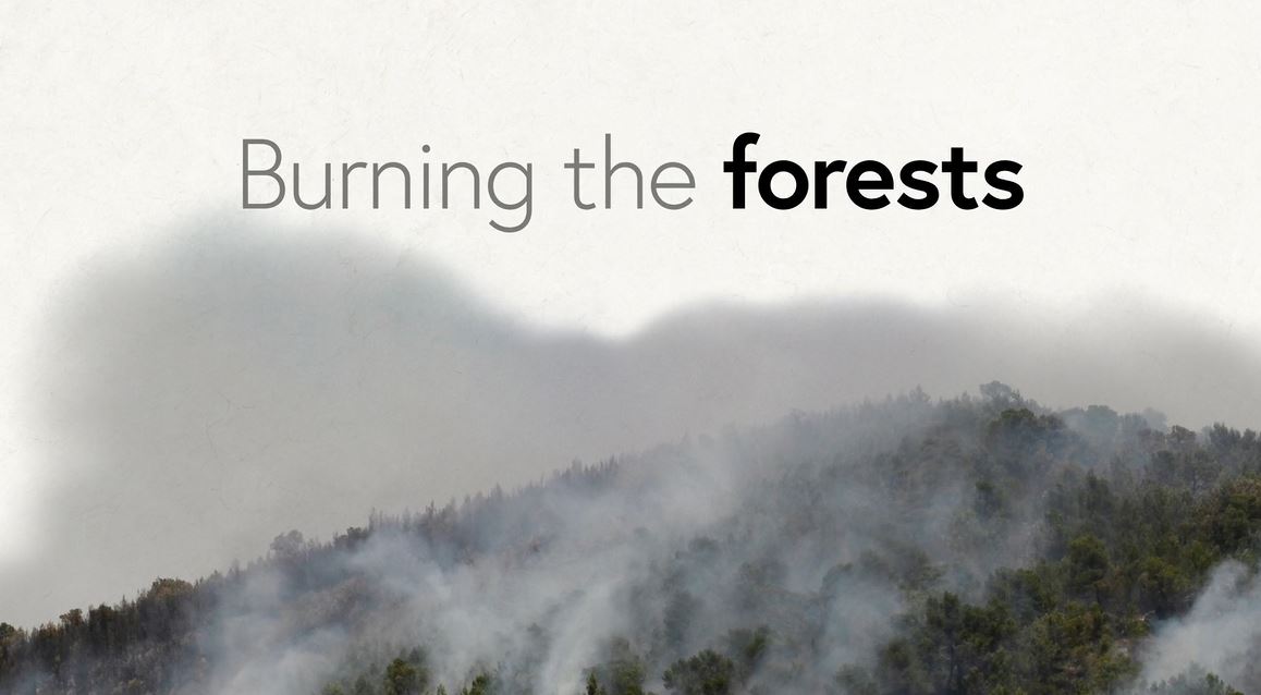 Burning the Forests: DK - Climate Change Series.