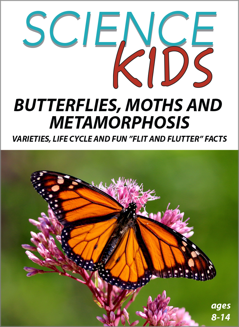 Butterflies, Moths and Metamorphosis - Varieties, Life Cycle and Fun "Flit and Flutter" Facts: Science Kids Animal Life Series.