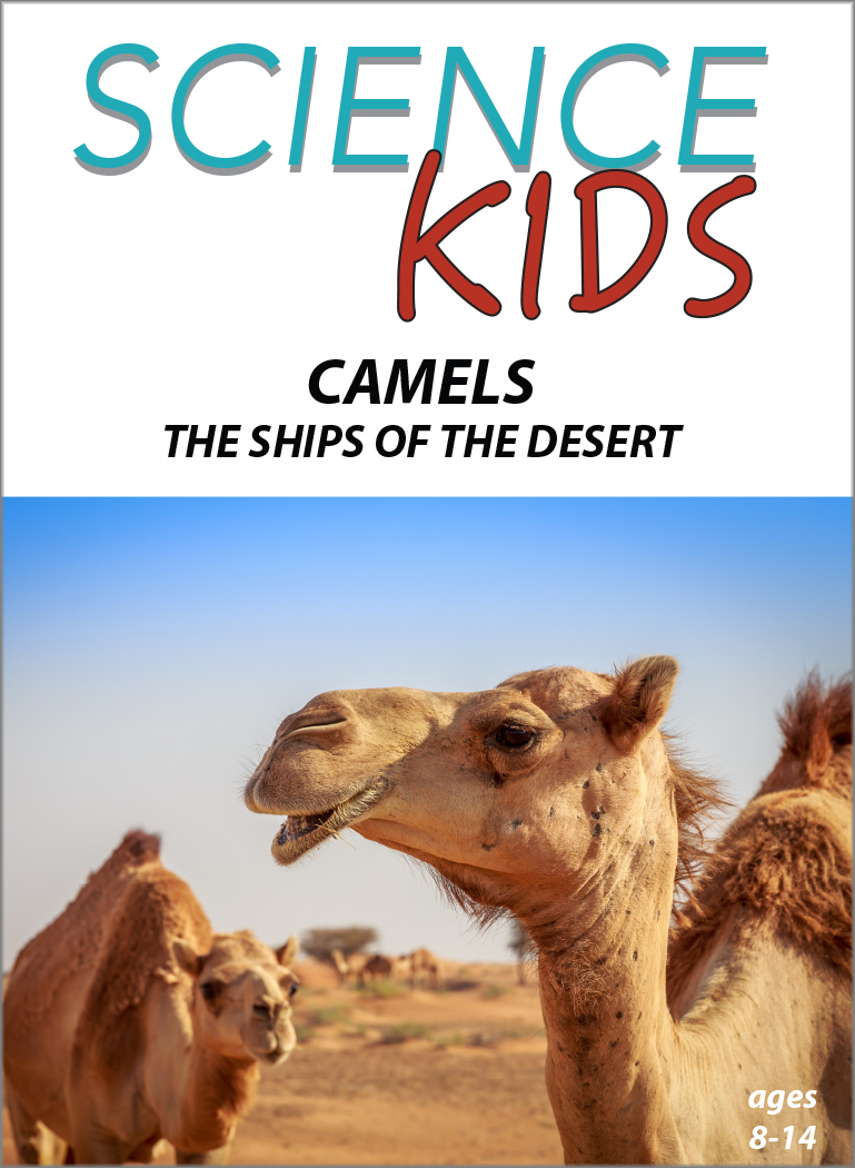 Camels - The Ships of the Desert: Science Kids Animal Life Series.