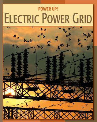 The electric power grid
