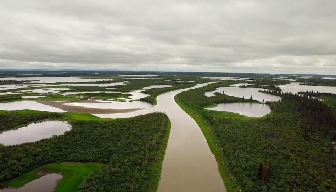 Delta Discoveries: Arctic Secrets Series.