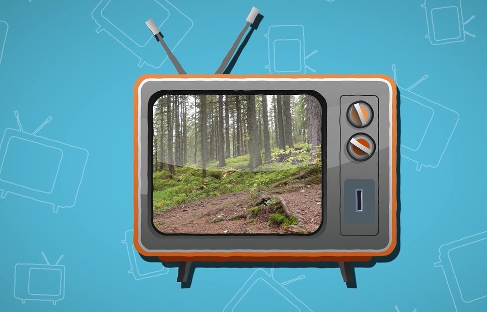 How Have TVs Changed?: I Wonder... Technology and Innovation Series.