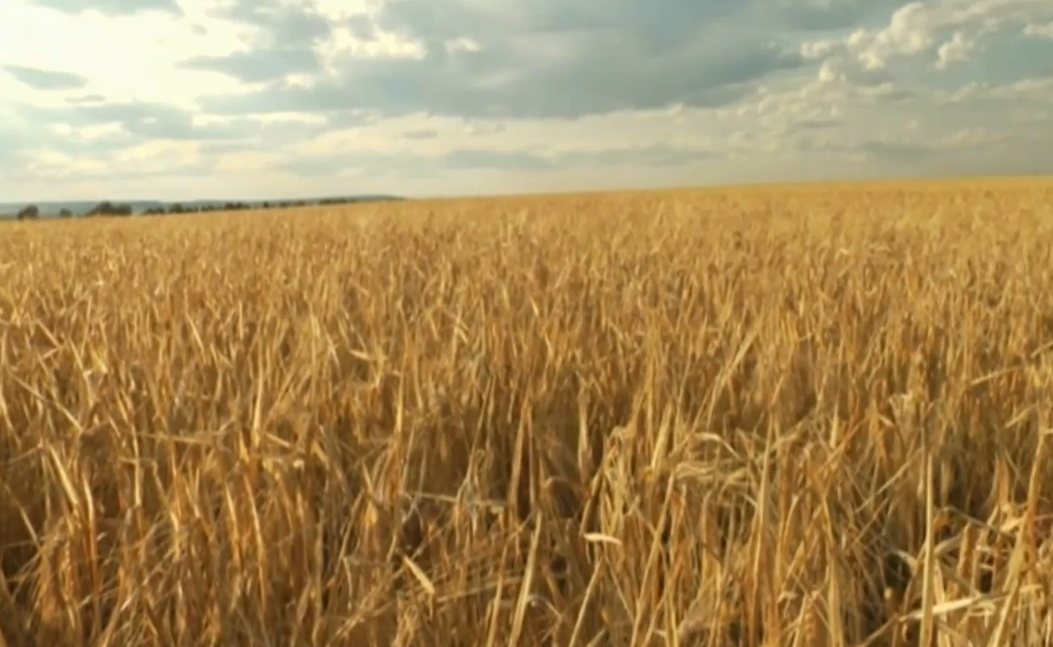 Our Canada - The Interior Plains.