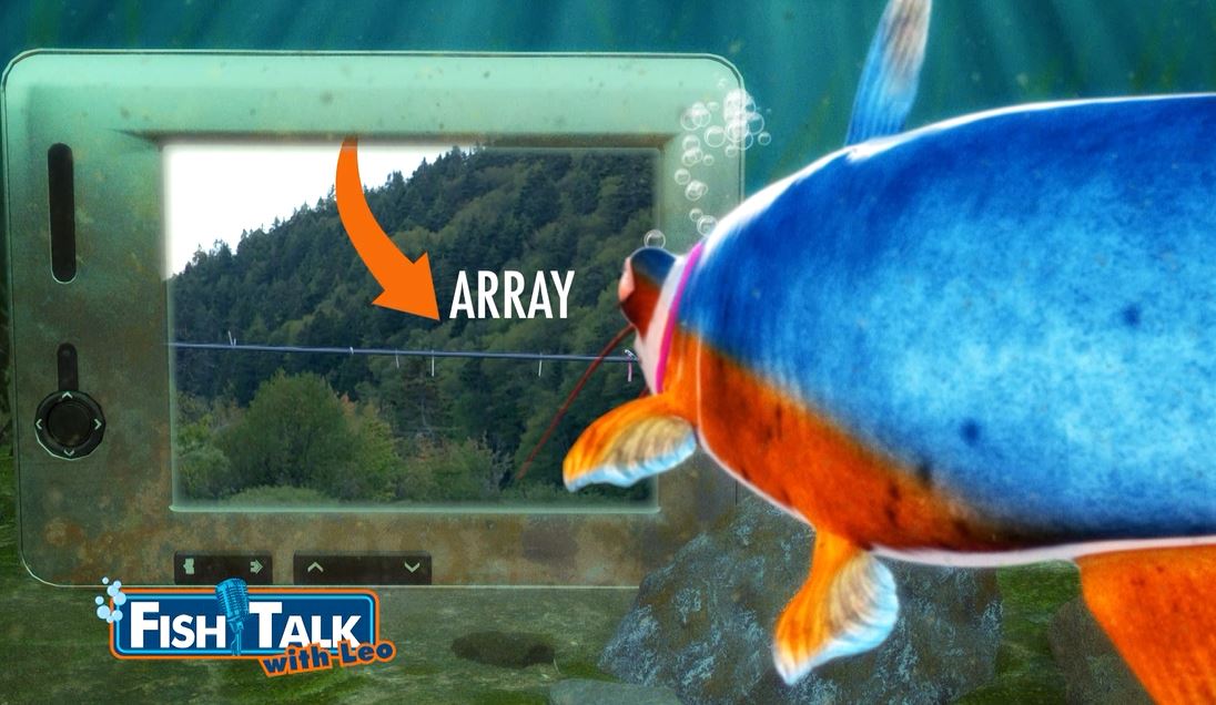 Scanning Salmon: Fish Talk with Leo Series.