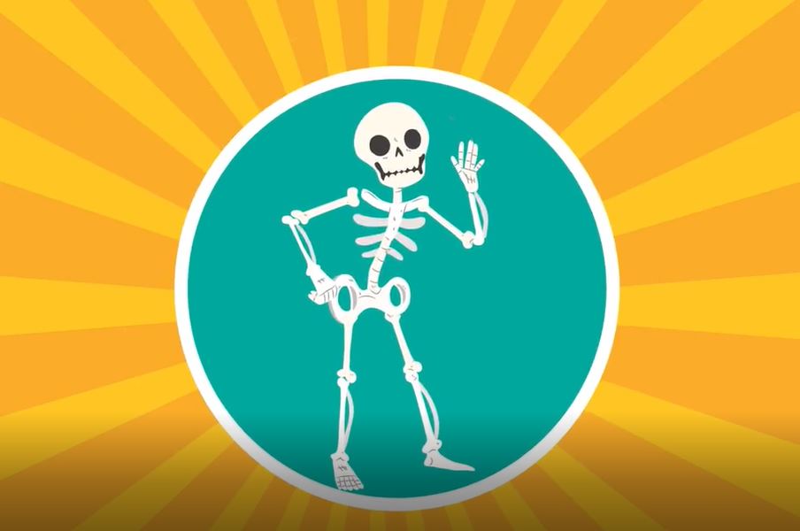 Skeleton Facts for Kids: The Magical Human Body Series.