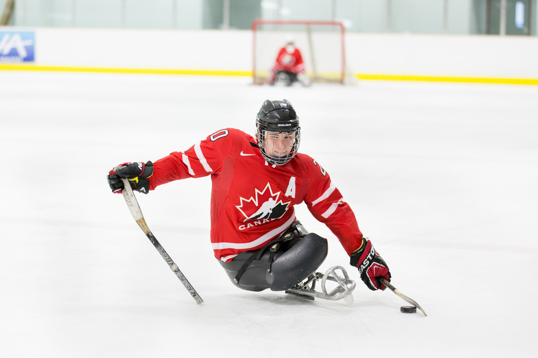 Sledge Hockey (Newton's Third Law of Motion): Sports Lab Series.