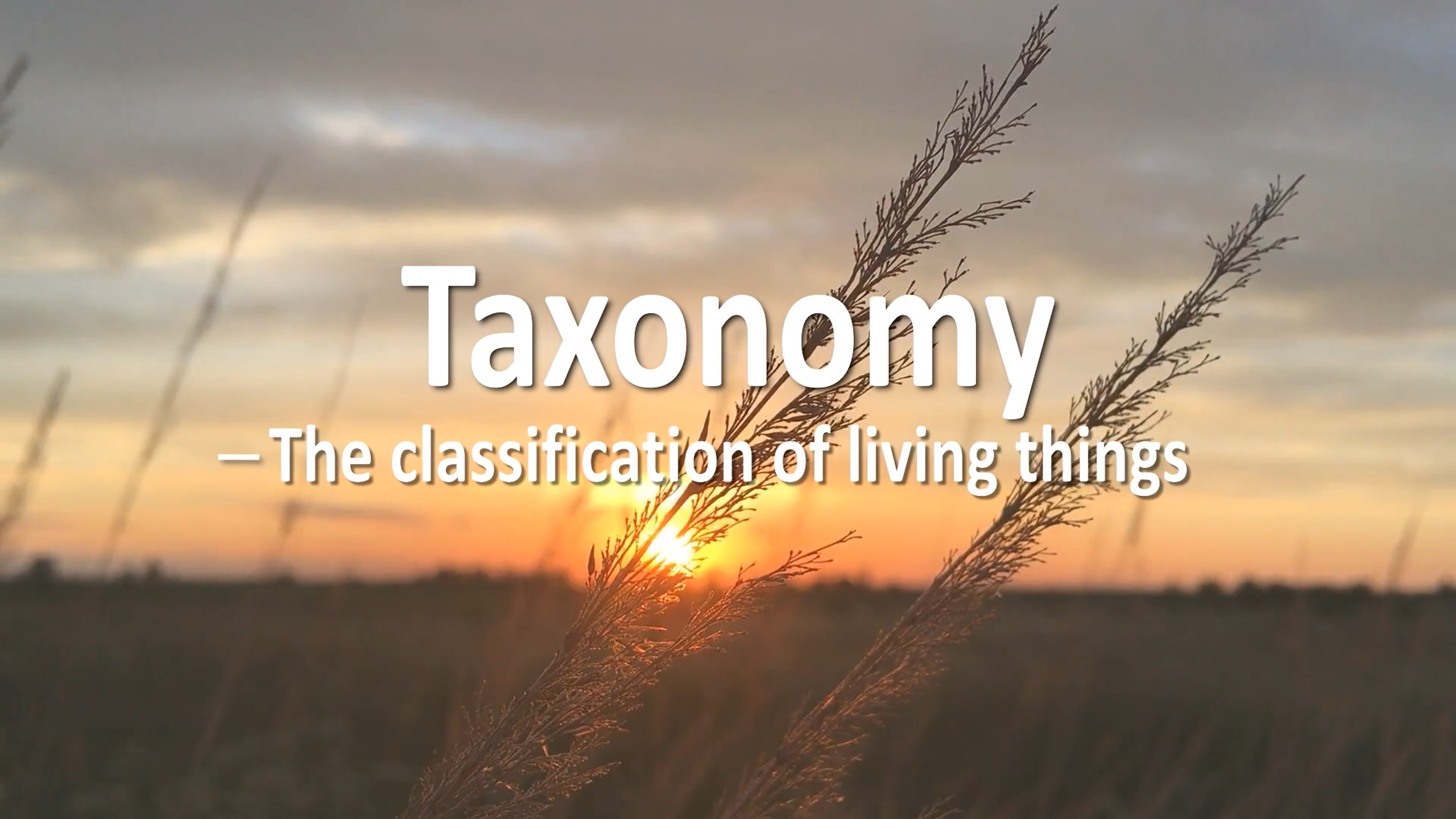 Taxonomy - The Classification of Living Things.