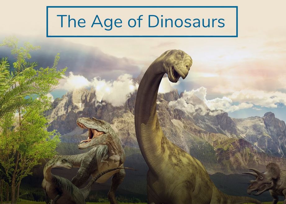 The Age of Dinosaurs: DK Timelines Series.