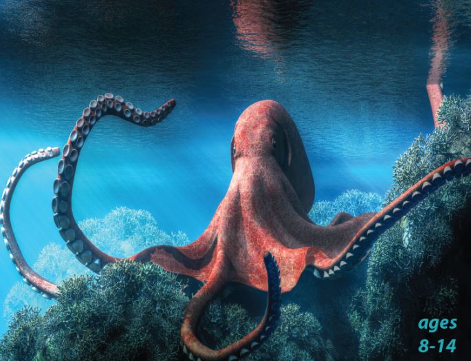 The Amazing Octopus - Legendary Creature of the Sea: Science Kids Animal Life Series.