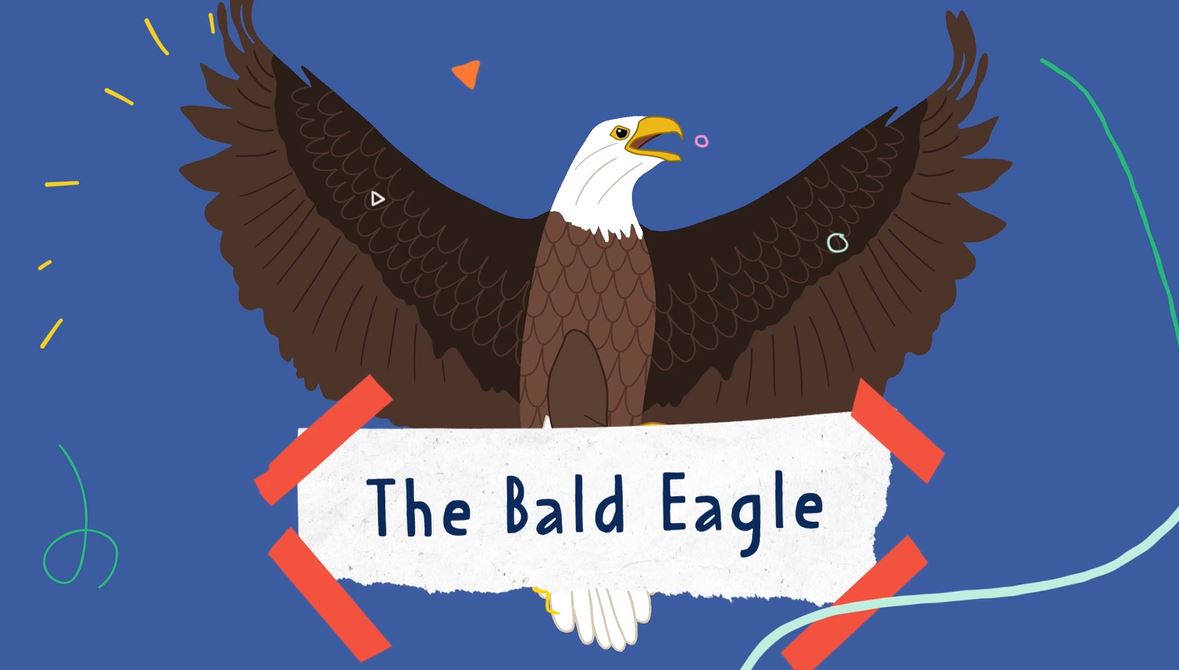 The Bald Eagle: Untold Series.