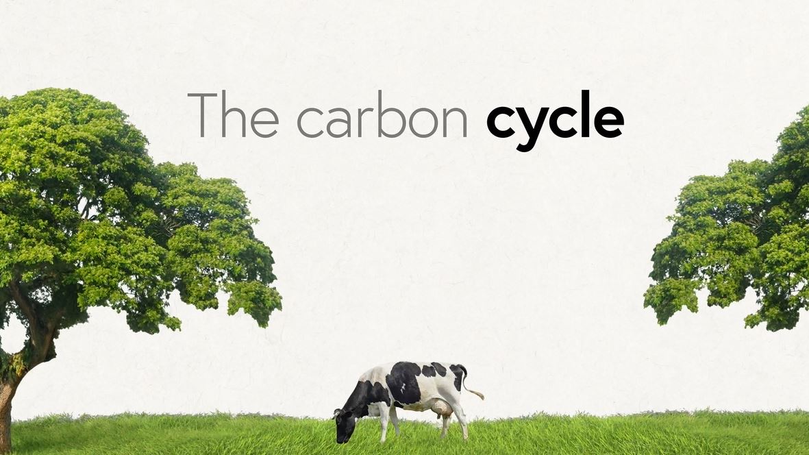 The Carbon Cycle: DK - Climate Change Series.