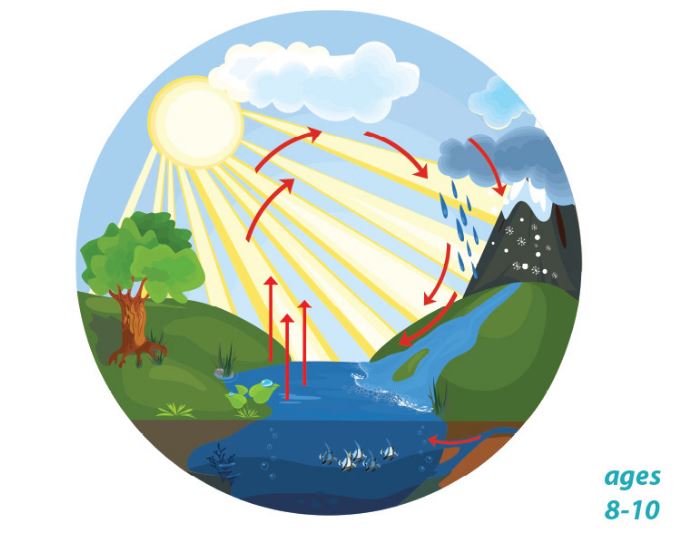 The Water Cycle - Precipitation, Evaporation, Condensation, Conservation: Science Kids Series.