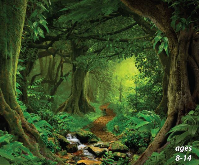 Tropical Rainforest: Science Kids Series.