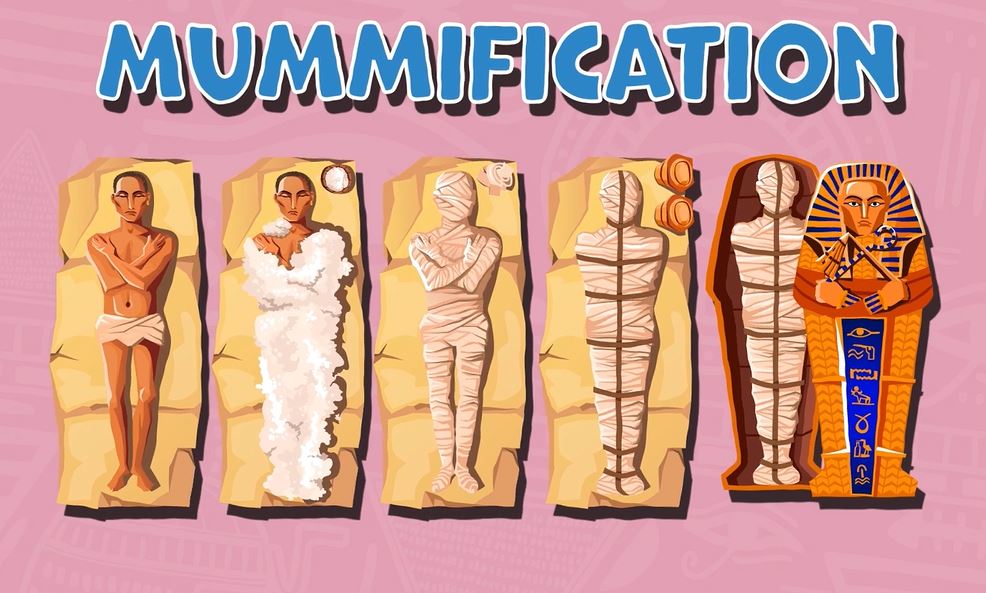 What Is Mummification?: I Wonder... Egyptians Series.