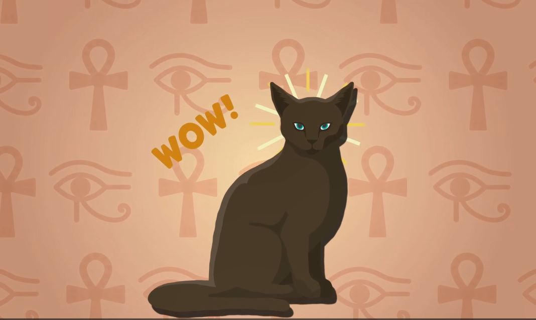 Why Were Cats Important to Egyptians?: I Wonder... Egyptians Series.