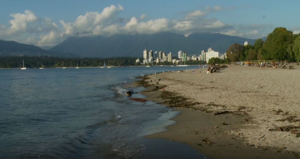 A Fragmented Shoreline: Shore Line (Shorts).