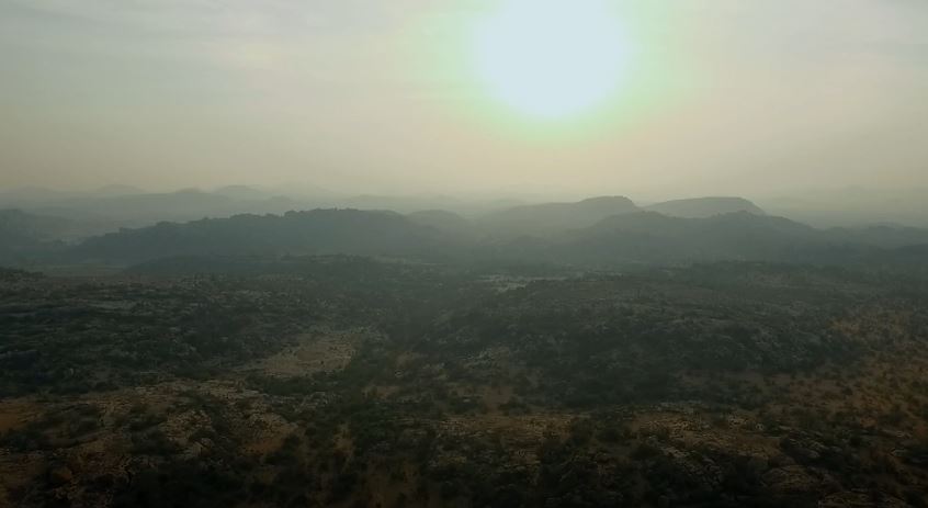 A Sloth Bear's Dilemma: Into the Wild - India Series.