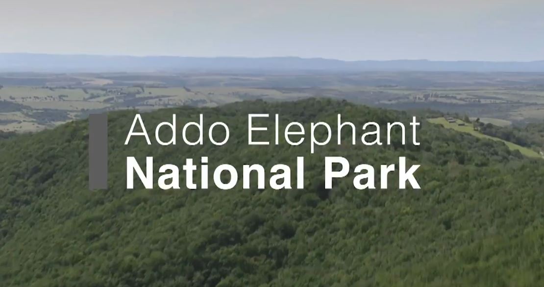 Addo Elephant National Park: Great Parks of Africa Series.