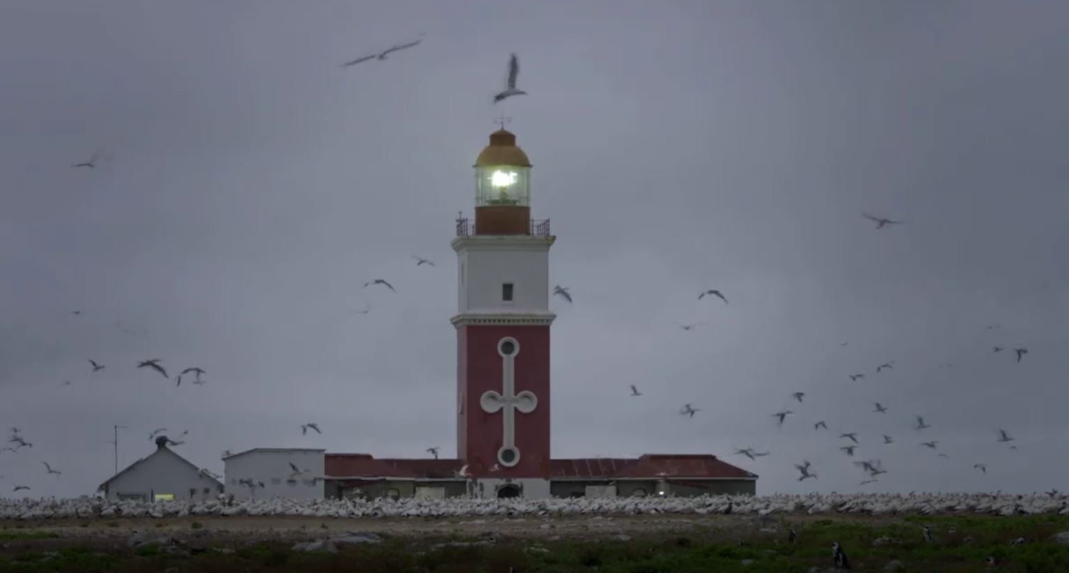 Algoa Bay - Last Refuge of the African Penguin: Coastal Africa Series.