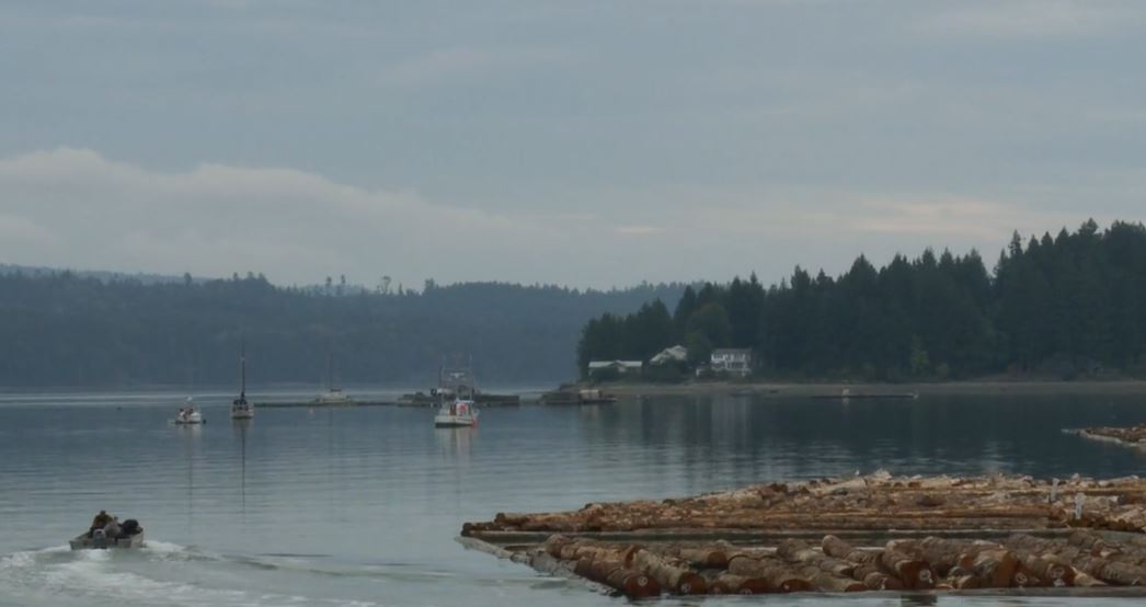 An Acidifying Ocean: Shore Line (Shorts).