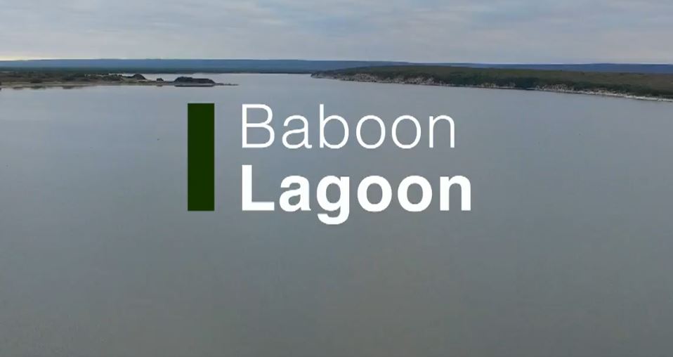 Baboon Lagoon: Land of Primates Series.